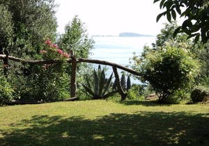 Holiday apartment Mlini for 1 - 3 persons with 1 bedroom - Holiday apartment