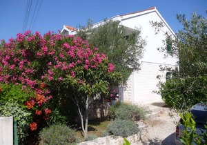 Holiday apartment only 100 meters from the beach