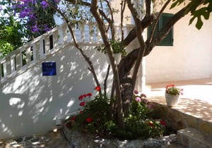 Holiday apartment only 100 meters from the beach