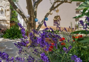 Holiday apartment Vrsi for 2 persons with 1 bedroom - Holiday house