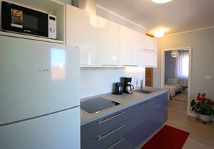 Holiday apartment with air conditioning