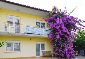 Holiday apartment with air conditioning
