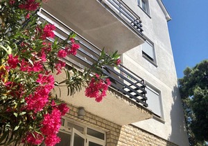 Kate - with nice view: A4 (4) - Zaton (Zadar)