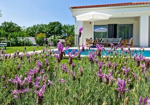 Lovely home in Nedescina with WiFi