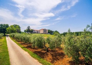 Lovely house LINDI in Poreč- one-bedroom apartment