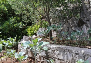 One bedroom apartment near beach Kabli, Pelješac (A-10221-a)