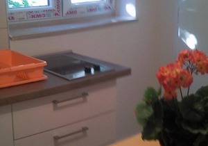 One bedroom apartment near beach Okuklje, Mljet (A-4912-c)