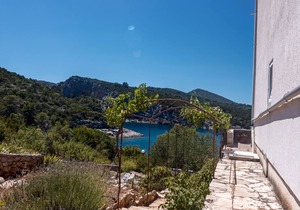 One bedroom apartment near beach Cove Pokrivenik, Hvar (A-4604-d)