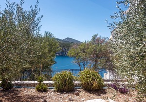 One bedroom apartment near beach Cove Pokrivenik, Hvar (A-4604-d)