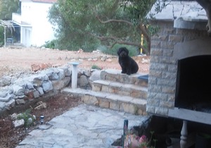 One bedroom apartment near beach Cove Skozanje, Hvar (A-14899-b)