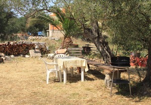 One bedroom apartment near beach Luka, Dugi otok (A-8151-b)