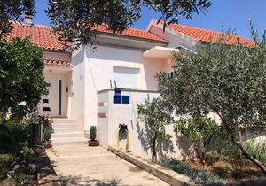 One bedroom apartment with terrace and sea view Lukoran, Ugljan (A-836-b)