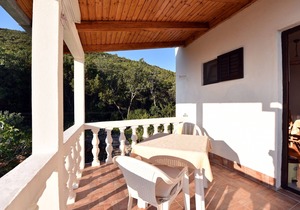 One bedroom apartment with terrace and sea view Cove Zarace (Gdinj), Hvar (A-4597-e)
