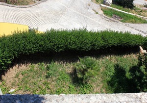 One bedroom apartment with terrace and sea view Slađenovići, Dubrovnik (A-2162-b)