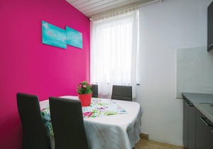 Pet friendly apartment in Labin