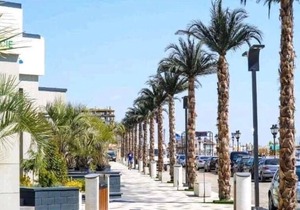 Sea View in Mamaia Nord