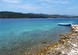 Secluded fisherman's cottage Krknata, Dugi otok - 399