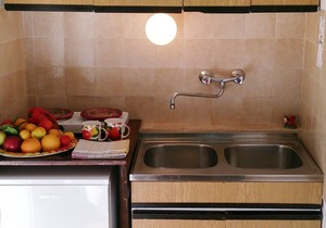 Studio flat near beach Cove Zarace (Gdinj), Hvar (AS-2047-a)
