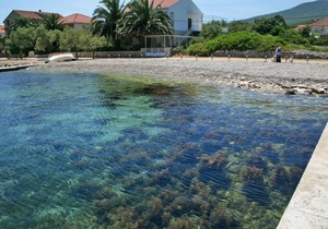 Studio flat near beach Sreser, Pelješac (AS-10138-a)