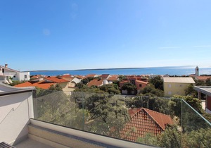 Studio flat with terrace and sea view Mandre, Pag (AS-6309-a)