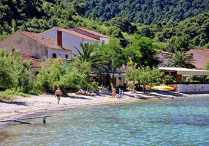 Studio Zuljana 254a