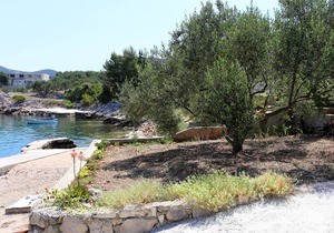 Two bedroom apartment near beach Cove Pještata, Pelješac (A-10210-b)