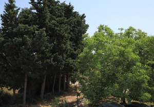 Two bedroom apartment with terrace Sušica, Ugljan (A-8265-a)