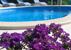 Villa Contessa private pool 6-8 people, parking, air conditioning, WiFi, Porec