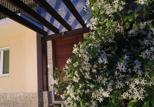 Villa Familia Hvar, Apartment 2D