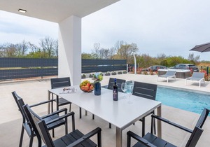 Villa Lucia with jacuzzi and private pool near Porec
