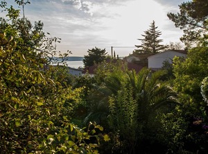 Garden | Starigrad