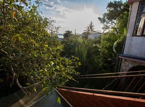 Garden | Starigrad