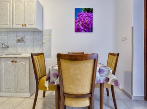 Ferienwohnungen Arsen Losinj Island | Cove Murtar