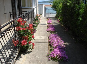 Apartmani | Susica