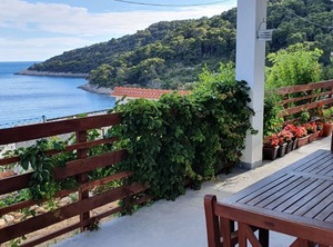 Saplunara | Saplunara