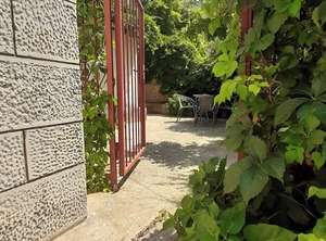 Niko Min | Ploce