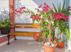 Kunac | Podgora