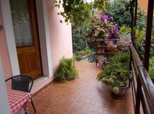 Apartments Ivan | Cove Murtar