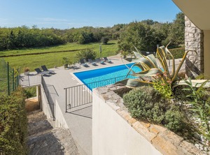 This Located Buje Swimming | Bibali