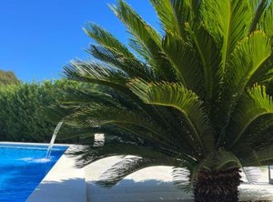 Holiday Resort Sundance | Okrug Gornji