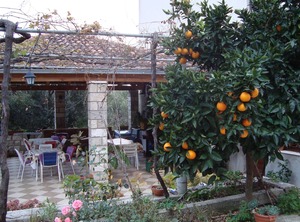 Terrace Sea Slađenovići Dubrovnik | Krucica
