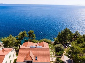 Plavac Mali | Orebic