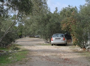 Beach Cove Mala Lamjana Ugljan | Municipality of Kali
