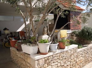 Drašnice Makarska | Drasnice