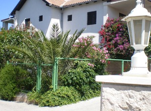 Terrace | Cove Makarac (Milna)