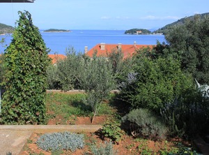 Terrace Sea | Vis