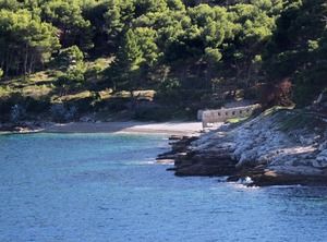 Terrace Sea | Cove Rogacic