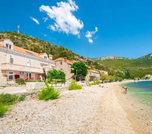 Trstenik 