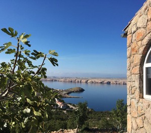 Accommodation Stinica 