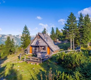 Chalet Encijan Velika Planina 